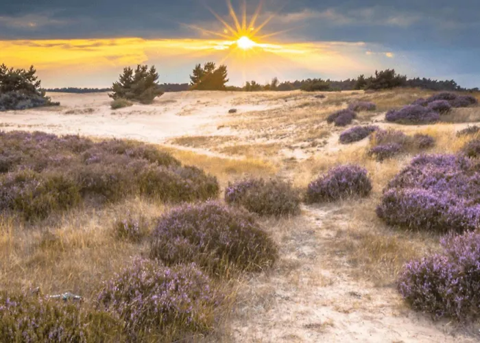 Semesterbostad Steltloper Nunspeet